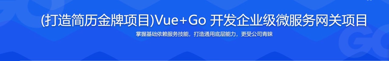 打造简历金牌项目)Vue+Go 开发企业级微服务网关项目  1.02G